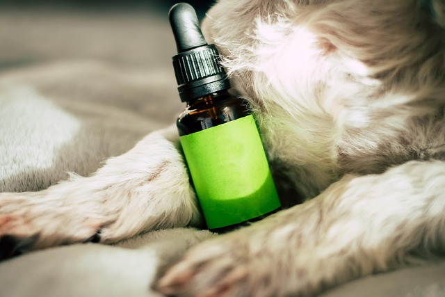 CBD olie: Wat je moet weten over gebruik en effecten